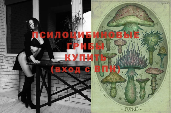 ГАЛЛЮЦИНОГЕННЫЕ ГРИБЫ Алексеевка