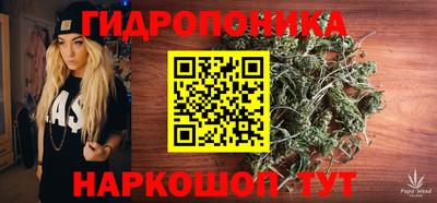 амф Обь