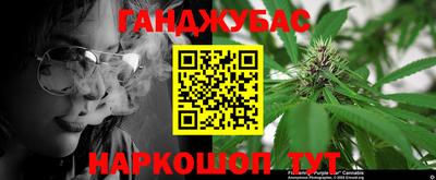 амф Обь